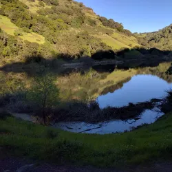 Skyline Wilderness Park - American Canyon
