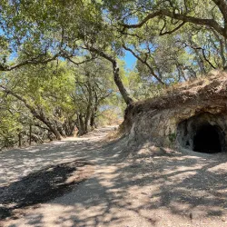 Skyline Wilderness Park - American Canyon