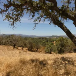 Skyline Wilderness Park - American Canyon