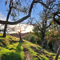Skyline Wilderness Park - American Canyon