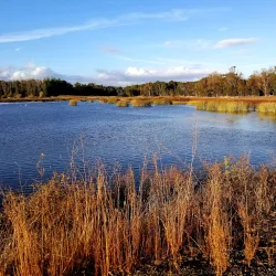South Napa River Park - American Canyon