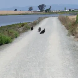 South Napa River Park - American Canyon