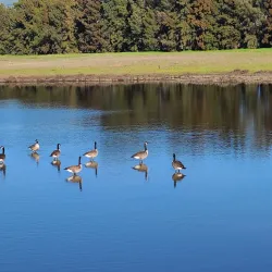 South Napa River Park - American Canyon