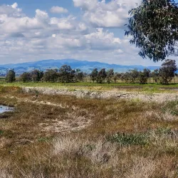 South Napa River Park - American Canyon