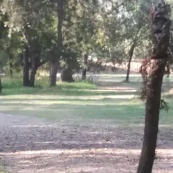 Anderson River Park Disc Golf Course - Anderson