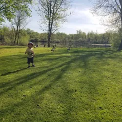 Anderson River Park Disc Golf Course - Anderson
