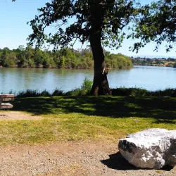 Anderson River Park Fishing Area - Anderson