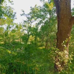 Anderson River Park - Anderson