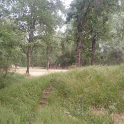 Anderson River Park - Anderson