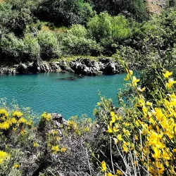 Sacramento River Trail - Anderson