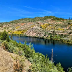 Sacramento River Trail - Anderson