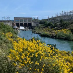 Sacramento River Trail - Anderson