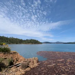 Sacramento River Trail - Anderson