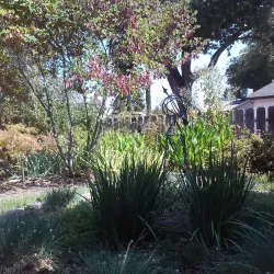 Shasta County Historical Society Museum - Anderson