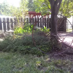 Shasta County Historical Society Museum - Anderson