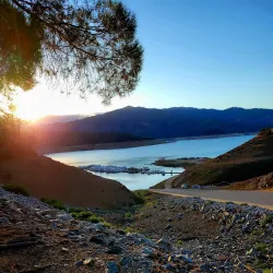 Shasta Lake - Anderson