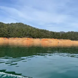 Shasta Lake - Anderson