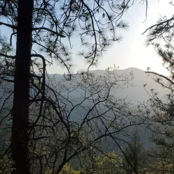 Shasta Lake - Anderson