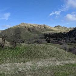 Black Diamond Mines Regional Preserve - Antioch