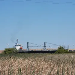 Dow Wetlands Preserve - Antioch