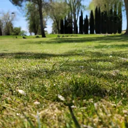 Apple Valley Golf Course - Apple Valley