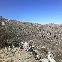 Apple Valley Legacy Trail - Apple Valley