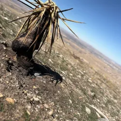 Apple Valley Legacy Trail - Apple Valley