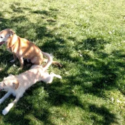 Civic Center Park - Apple Valley