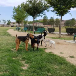 Civic Center Park - Apple Valley