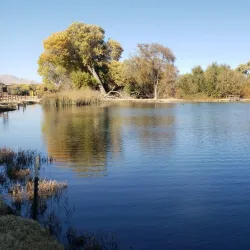 Mojave Narrows Regional Park - Apple Valley