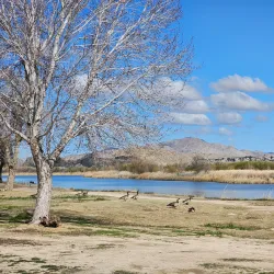Mojave Narrows Regional Park - Apple Valley