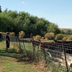 Mojave Narrows Regional Park - Apple Valley