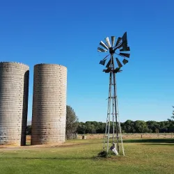 Mojave Narrows Regional Park - Apple Valley