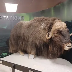 Victor Valley Museum - Apple Valley