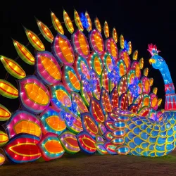 Los Angeles County Arboretum and Botanic Garden - Arcadia