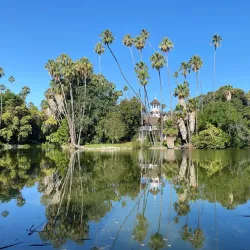 Los Angeles County Arboretum Peacock Sanctuary - Arcadia