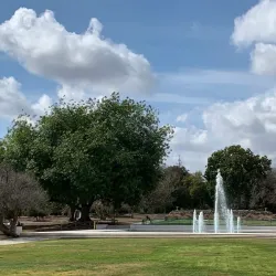 Los Angeles County Arboretum Peacock Sanctuary - Arcadia