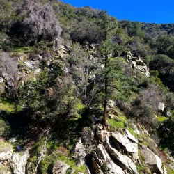 Santa Anita Canyon - Arcadia