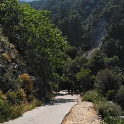 Santa Anita Canyon - Arcadia