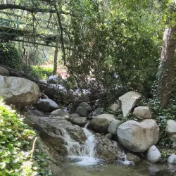 Santa Anita Canyon - Arcadia