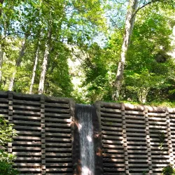 Santa Anita Canyon - Arcadia