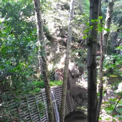 Santa Anita Canyon - Arcadia