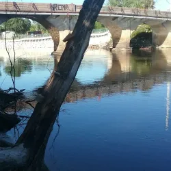 Veterans Park - Arcadia