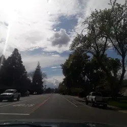 American River Parkway - Arden-Arcade