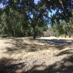 American River Parkway - Arden-Arcade