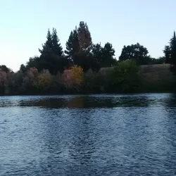 American River Parkway - Arden-Arcade