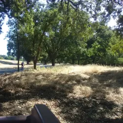 American River Parkway - Arden-Arcade