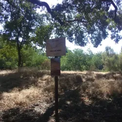 American River Parkway - Arden-Arcade