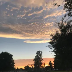 Carmichael Park - Arden-Arcade