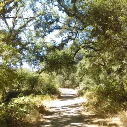 Del Paso Regional Park - Arden-Arcade